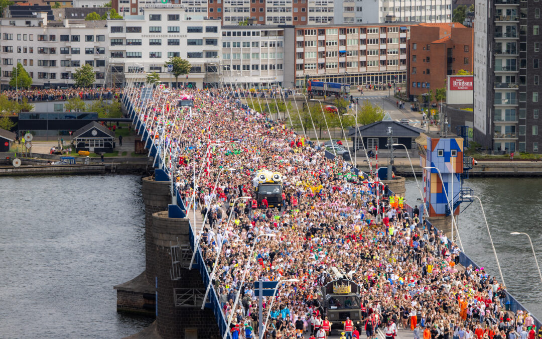 Foreningen Aalborg Karneval søger projektleder! Er det dig? 